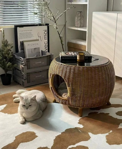Wicker Tea Minimalist Modern Small Round Low Side Table